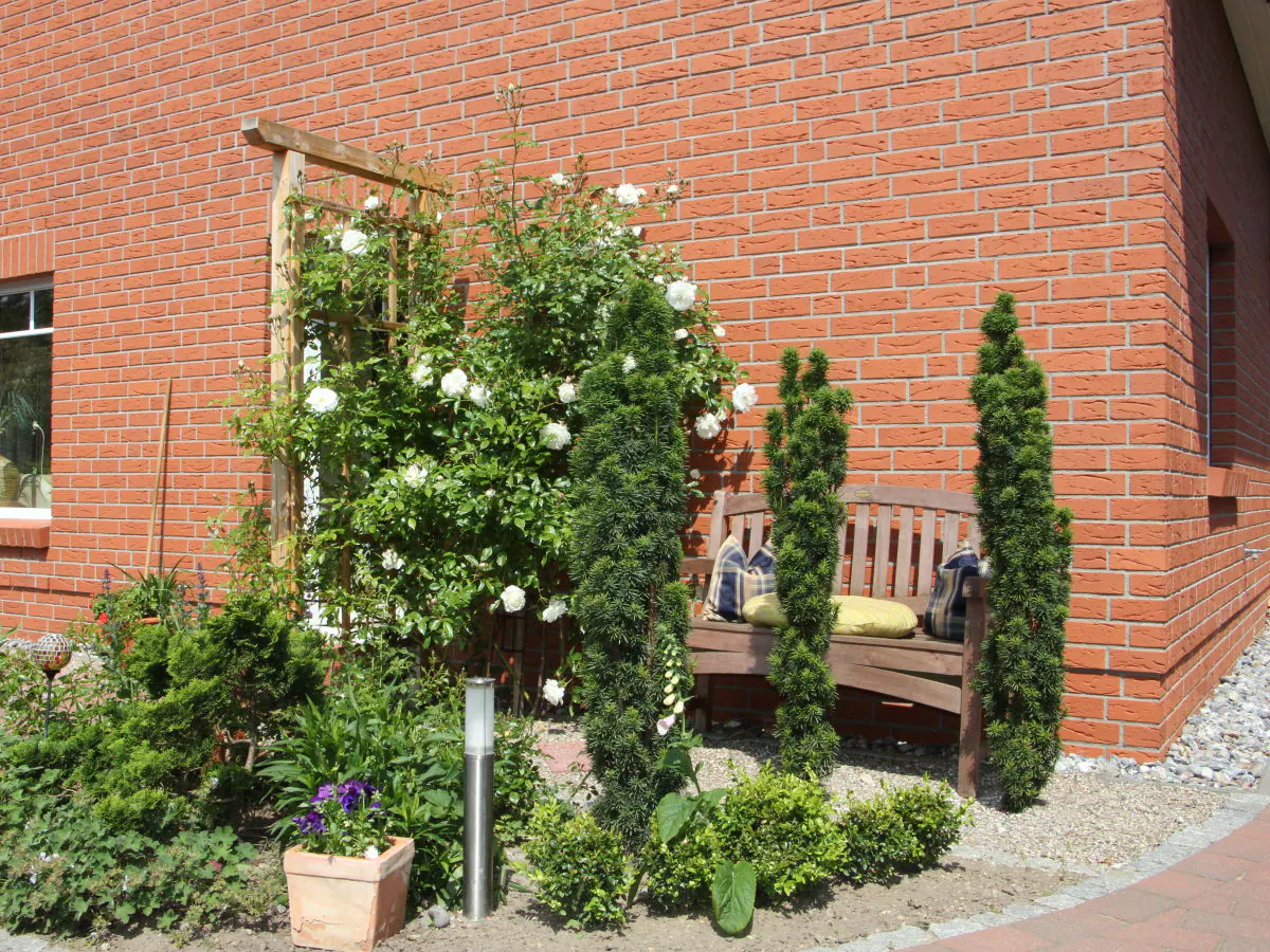 Holiday apartment Zum Fischer - Outdoor photo 3