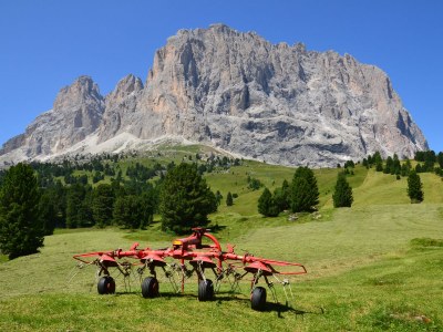 B&B Perathoner - Environment photo 22