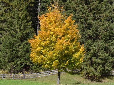 B&B Perathoner - Environment photo 25