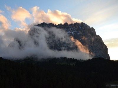 B&B Perathoner - Environment photo 26