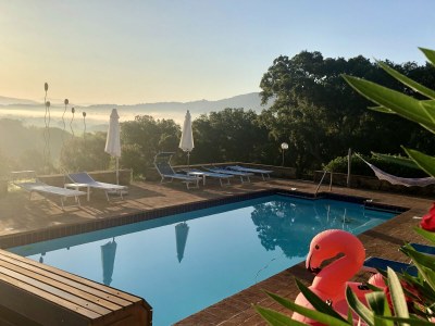 Holiday apartment Casa Felicita in Podere Follona - Outdoor photo 10