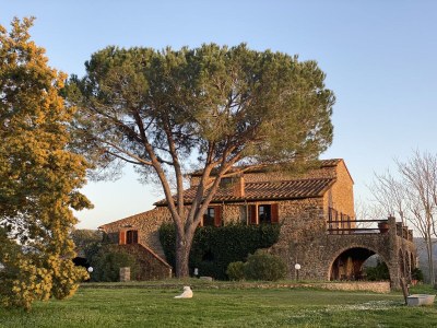 Holiday apartment Casa Felicita in Podere Follona - Outdoor photo 11