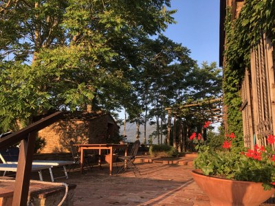 Holiday apartment Casa Felicita in Podere Follona - Outdoor photo 13