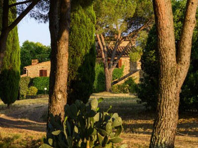Holiday apartment Casa Felicita in Podere Follona - Outdoor photo 16
