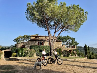 Holiday apartment Casa Felicita in Podere Follona - Environment photo 33