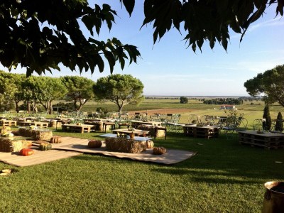 Holiday apartment Casa Felicita in Podere Follona - Environment photo 39