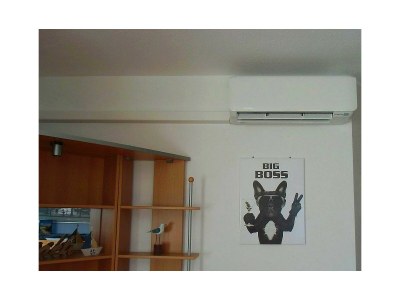 Holiday apartment Holiday apartment "Juist" in the holiday home "Birdie-Home®" - Features photo 17