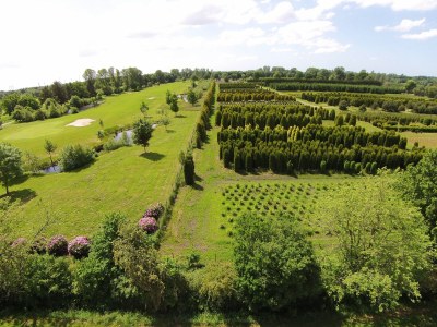 Holiday apartment Holiday apartment "Juist" in the holiday home "Birdie-Home®" - Environment photo 27