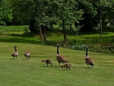 Holiday apartment Holiday apartment "Juist" in the holiday home "Birdie-Home®" - Environment photo 30