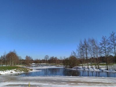 Holiday apartment Holiday apartment "Juist" in the holiday home "Birdie-Home®" - Environment photo 39