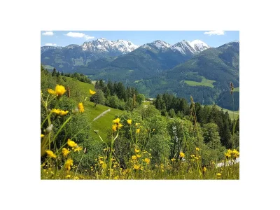 Farmhouse Apartment Fuxmoos - Outdoor photo 9