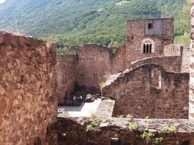 Apartment Stricker - Environment photo 24