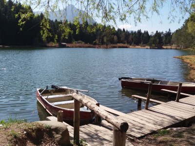 Apartment Stricker - Environment photo 28