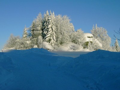 Holiday house Rosi - Environment photo 7