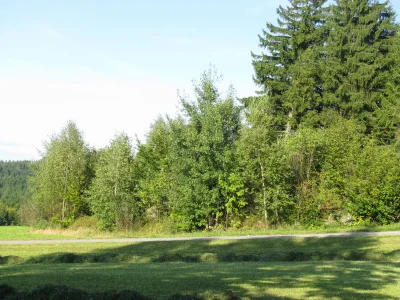 Holiday house Rosi - Environment photo 14