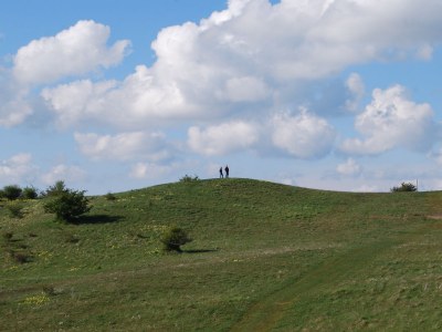 Holiday apartment Fischerkate - Environment photo 19