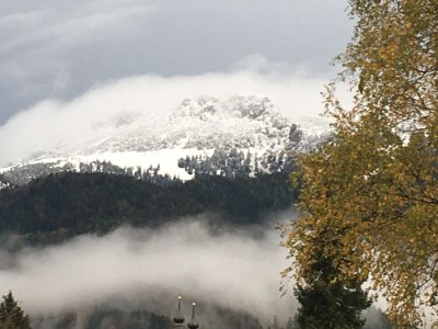 Holiday apartment Müller 2 im Haus Frühling - Outdoor photo 11