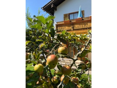 Holiday apartment Müller 2 im Haus Frühling - Outdoor photo 13