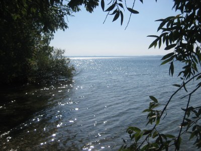 Holiday apartment Müller 2 im Haus Frühling - Environment photo 29