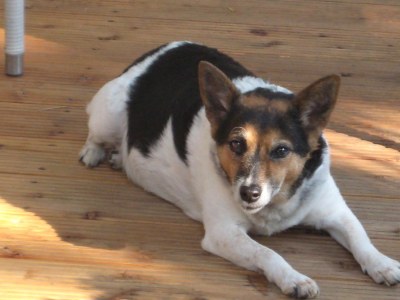 Holiday apartment Müller 2 im Haus Frühling - Environment photo 33