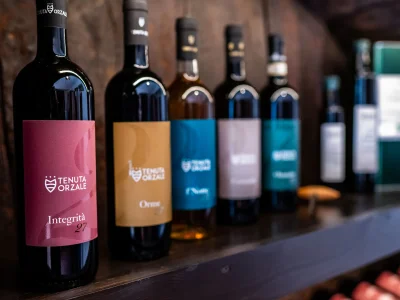 Holiday apartment 3-room holiday apartment on original vineyard with pool - Outdoor photo 5