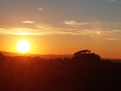 Holiday apartment 3-room holiday apartment on original vineyard with pool - Outdoor photo 8