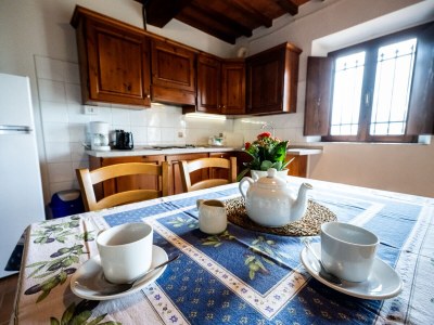 Holiday apartment 3-room holiday apartment on original vineyard with pool - Features photo 10