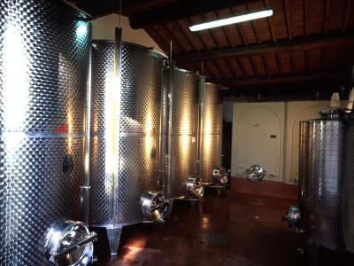 Holiday apartment 3-room holiday apartment on original vineyard with pool - Environment photo 15