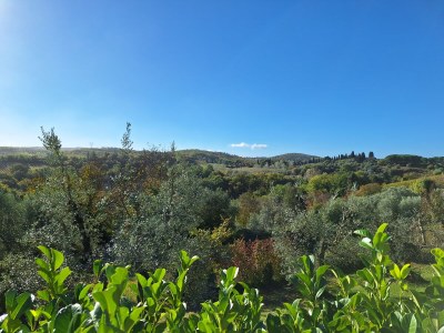 Holiday apartment 3-room holiday apartment on original vineyard with pool - Environment photo 17