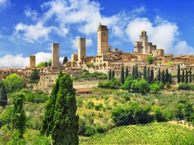 Holiday apartment 3-room holiday apartment on original vineyard with pool - Environment photo 20