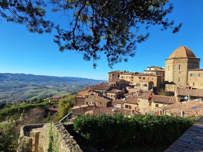 Holiday apartment 3-room holiday apartment on original vineyard with pool - Environment photo 23