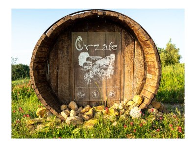 Holiday apartment 3-room holiday apartment on original vineyard with pool - Environment photo 24