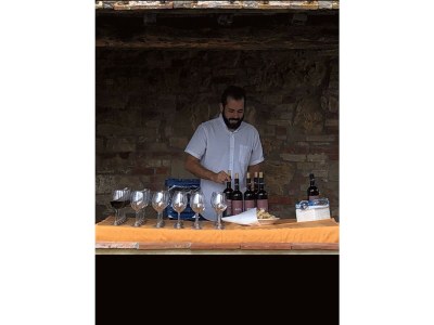 Holiday apartment 3-room holiday apartment on original vineyard with pool - Environment photo 25