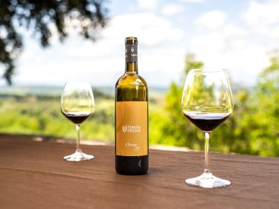 Holiday apartment 3-room holiday apartment on original vineyard with pool - Environment photo 28