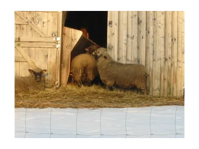 Holiday apartment Haus-sterl - Environment photo 16