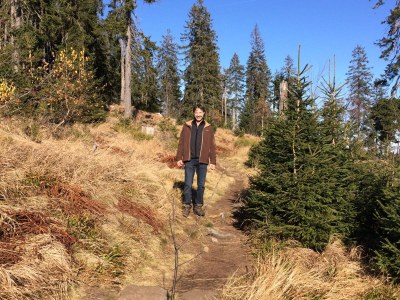 Holiday apartment Haus-sterl - Environment photo 20