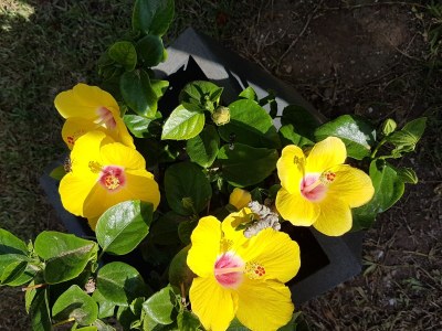 Holiday apartment Casa Barbara - Outdoor photo 4