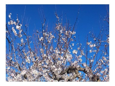 Holiday apartment Casa Barbara - Outdoor photo 19