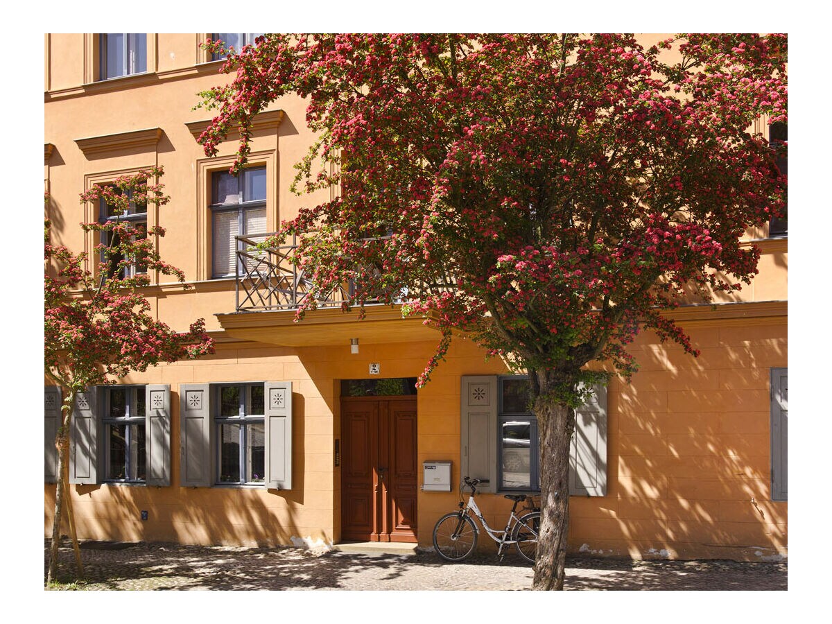 Holiday apartment Lake apartment - Outdoor photo 3