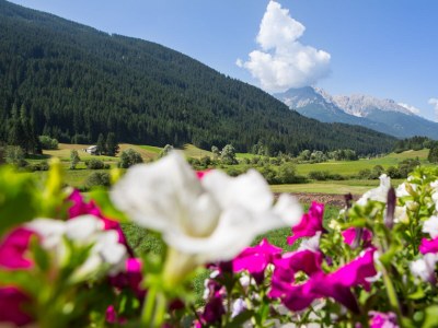 Holiday apartment Luianta - Outdoor photo 3