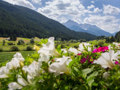 Holiday apartment Luianta - Environment photo 9