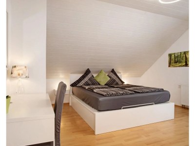 Holiday apartment Fuchs - Outdoor photo 6