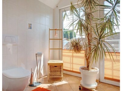 Holiday apartment Fuchs - Outdoor photo 7