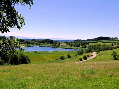 Holiday apartment Fuchs - Environment photo 26