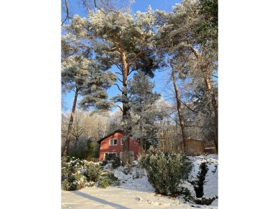 Holiday house Seegrundstück Diensdorf - Outdoor photo 13