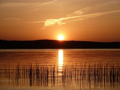 Holiday house Seegrundstück Diensdorf - Document photo 43