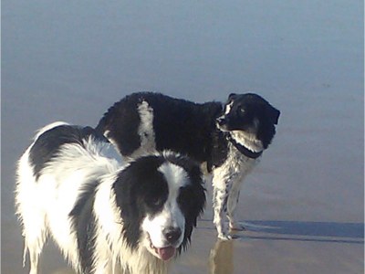 Holiday house Maison Felix - Environment photo 20