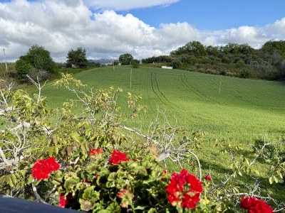 Holiday house Casa Dolce Vita - Outdoor photo 10