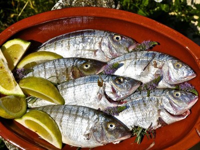 Holiday house Casa Dolce Vita - Environment photo 21