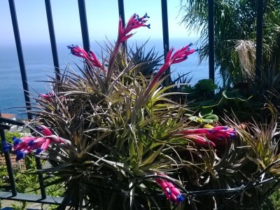 Holiday house Eira - Calhau Grande - Environment photo 13